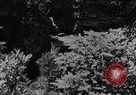 Image Mountain Valley Kentucky United States USA, 1940, de la seconde 15 séquences d'archives historiques vidéo 65675050016