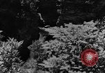 Image Mountain Valley Kentucky United States USA, 1940, de la seconde 16 séquences d'archives historiques vidéo 65675050016