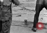 Image concasser des pierres Tennessee United States USA, 1940, de la seconde 3 séquences d'archives historiques vidéo 65675050018