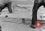 Image concasser des pierres Tennessee United States USA, 1940, de la seconde 6 séquences d'archives historiques vidéo 65675050018