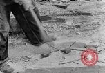 Image concasser des pierres Tennessee United States USA, 1940, de la seconde 10 séquences d'archives historiques vidéo 65675050018