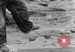 Image concasser des pierres Tennessee United States USA, 1940, de la seconde 11 séquences d'archives historiques vidéo 65675050018