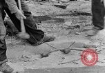 Image concasser des pierres Tennessee United States USA, 1940, de la seconde 12 séquences d'archives historiques vidéo 65675050018
