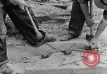 Image concasser des pierres Tennessee United States USA, 1940, de la seconde 15 séquences d'archives historiques vidéo 65675050018