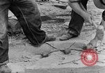 Image concasser des pierres Tennessee United States USA, 1940, de la seconde 16 séquences d'archives historiques vidéo 65675050018