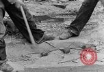 Image concasser des pierres Tennessee United States USA, 1940, de la seconde 18 séquences d'archives historiques vidéo 65675050018
