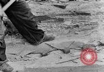 Image concasser des pierres Tennessee United States USA, 1940, de la seconde 20 séquences d'archives historiques vidéo 65675050018