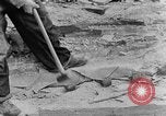 Image concasser des pierres Tennessee United States USA, 1940, de la seconde 21 séquences d'archives historiques vidéo 65675050018