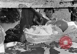 Image nourrisson Tennessee United States USA, 1940, de la seconde 1 séquences d'archives historiques vidéo 65675050020