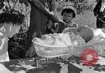 Image nourrisson Tennessee United States USA, 1940, de la seconde 5 séquences d'archives historiques vidéo 65675050020
