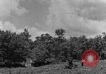 Image tracteur agricole Tennessee United States USA, 1940, de la seconde 4 séquences d'archives historiques vidéo 65675050021