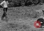 Image tracteur agricole Tennessee United States USA, 1940, de la seconde 14 séquences d'archives historiques vidéo 65675050021