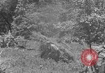 Image tas de broussailles Tennessee United States USA, 1940, de la seconde 21 séquences d'archives historiques vidéo 65675050022