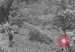 Image tas de broussailles Tennessee United States USA, 1940, de la seconde 23 séquences d'archives historiques vidéo 65675050022
