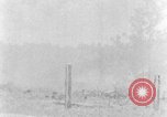 Image tas de broussailles Tennessee United States USA, 1940, de la seconde 32 séquences d'archives historiques vidéo 65675050022