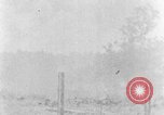 Image tas de broussailles Tennessee United States USA, 1940, de la seconde 34 séquences d'archives historiques vidéo 65675050022