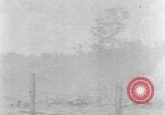 Image tas de broussailles Tennessee United States USA, 1940, de la seconde 38 séquences d'archives historiques vidéo 65675050022