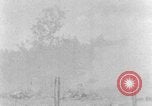 Image tas de broussailles Tennessee United States USA, 1940, de la seconde 39 séquences d'archives historiques vidéo 65675050022