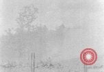 Image tas de broussailles Tennessee United States USA, 1940, de la seconde 40 séquences d'archives historiques vidéo 65675050022