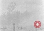 Image tas de broussailles Tennessee United States USA, 1940, de la seconde 41 séquences d'archives historiques vidéo 65675050022