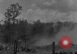 Image tas de broussailles Tennessee United States USA, 1940, de la seconde 44 séquences d'archives historiques vidéo 65675050022
