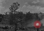 Image tas de broussailles Tennessee United States USA, 1940, de la seconde 45 séquences d'archives historiques vidéo 65675050022