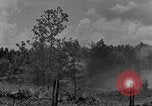 Image tas de broussailles Tennessee United States USA, 1940, de la seconde 46 séquences d'archives historiques vidéo 65675050022