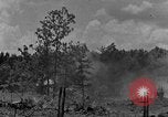 Image tas de broussailles Tennessee United States USA, 1940, de la seconde 47 séquences d'archives historiques vidéo 65675050022