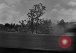Image tas de broussailles Tennessee United States USA, 1940, de la seconde 48 séquences d'archives historiques vidéo 65675050022