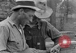 Image Lumber Yard Kentucky United States USA, 1940, de la seconde 11 séquences d'archives historiques vidéo 65675050023