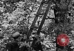 Image of lumbering Kentucky United States USA, 1940, second 1 stock footage video 65675050024