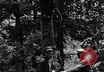 Image of lumbering Kentucky United States USA, 1940, second 3 stock footage video 65675050024