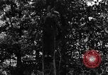 Image of lumbering Kentucky United States USA, 1940, second 5 stock footage video 65675050024