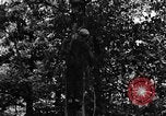 Image of lumbering Kentucky United States USA, 1940, second 6 stock footage video 65675050024