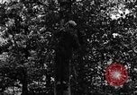 Image of lumbering Kentucky United States USA, 1940, second 7 stock footage video 65675050024