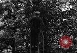 Image of lumbering Kentucky United States USA, 1940, second 8 stock footage video 65675050024
