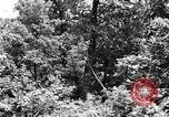 Image of lumbering Kentucky United States USA, 1940, second 10 stock footage video 65675050024