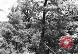 Image of lumbering Kentucky United States USA, 1940, second 11 stock footage video 65675050024