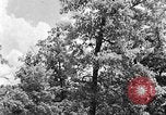 Image of lumbering Kentucky United States USA, 1940, second 13 stock footage video 65675050024