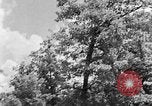 Image of lumbering Kentucky United States USA, 1940, second 14 stock footage video 65675050024