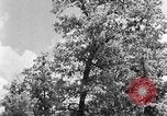 Image of lumbering Kentucky United States USA, 1940, second 15 stock footage video 65675050024
