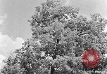 Image of lumbering Kentucky United States USA, 1940, second 17 stock footage video 65675050024