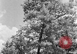 Image of lumbering Kentucky United States USA, 1940, second 19 stock footage video 65675050024