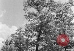 Image of lumbering Kentucky United States USA, 1940, second 20 stock footage video 65675050024