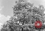 Image of lumbering Kentucky United States USA, 1940, second 22 stock footage video 65675050024