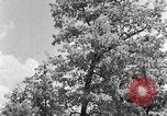 Image of lumbering Kentucky United States USA, 1940, second 23 stock footage video 65675050024