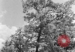 Image of lumbering Kentucky United States USA, 1940, second 24 stock footage video 65675050024