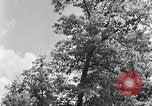 Image of lumbering Kentucky United States USA, 1940, second 25 stock footage video 65675050024