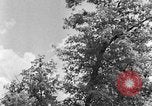 Image of lumbering Kentucky United States USA, 1940, second 26 stock footage video 65675050024