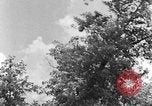 Image of lumbering Kentucky United States USA, 1940, second 27 stock footage video 65675050024